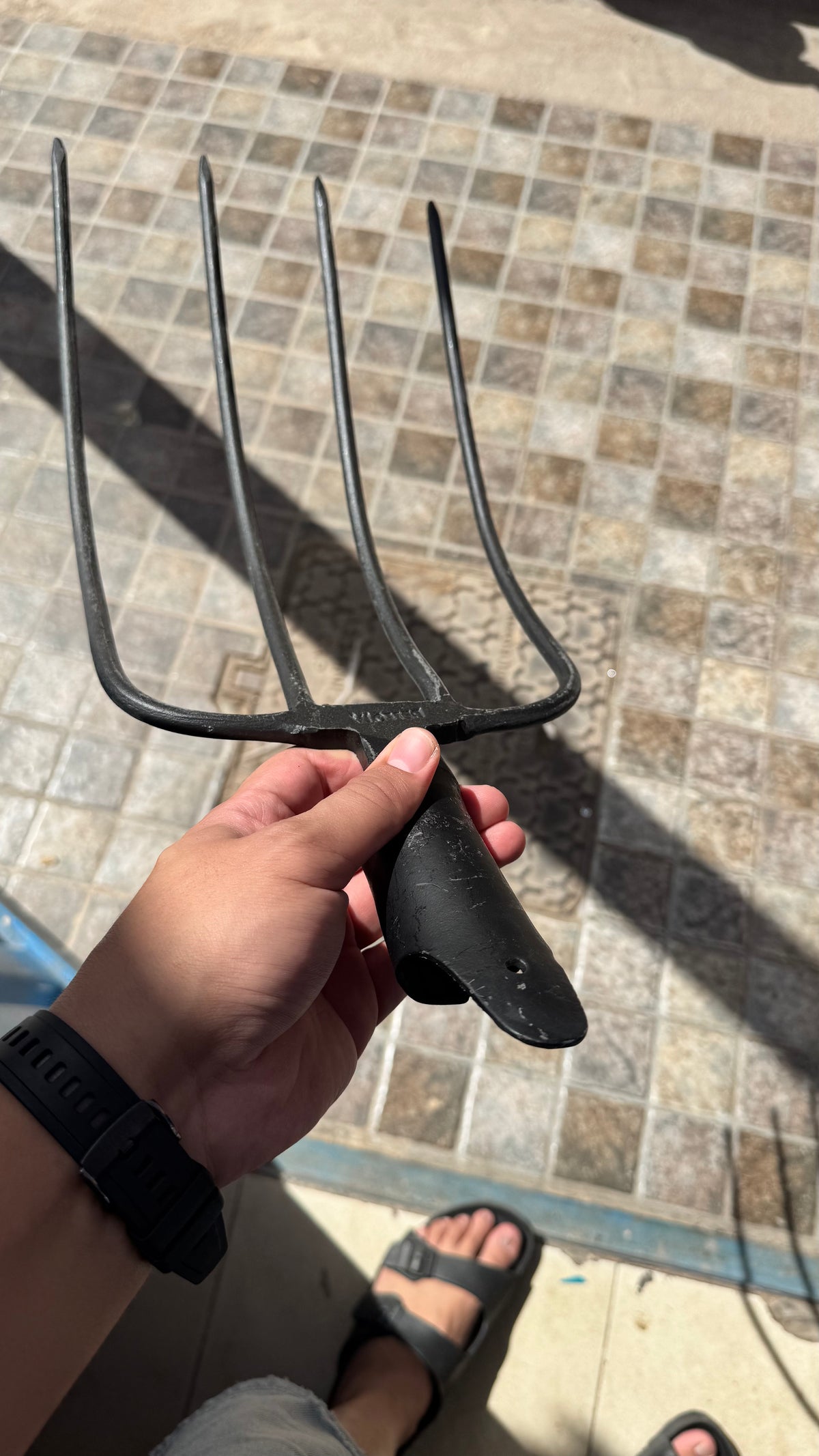 صورة حقيقية لشوكة تقليب التربة